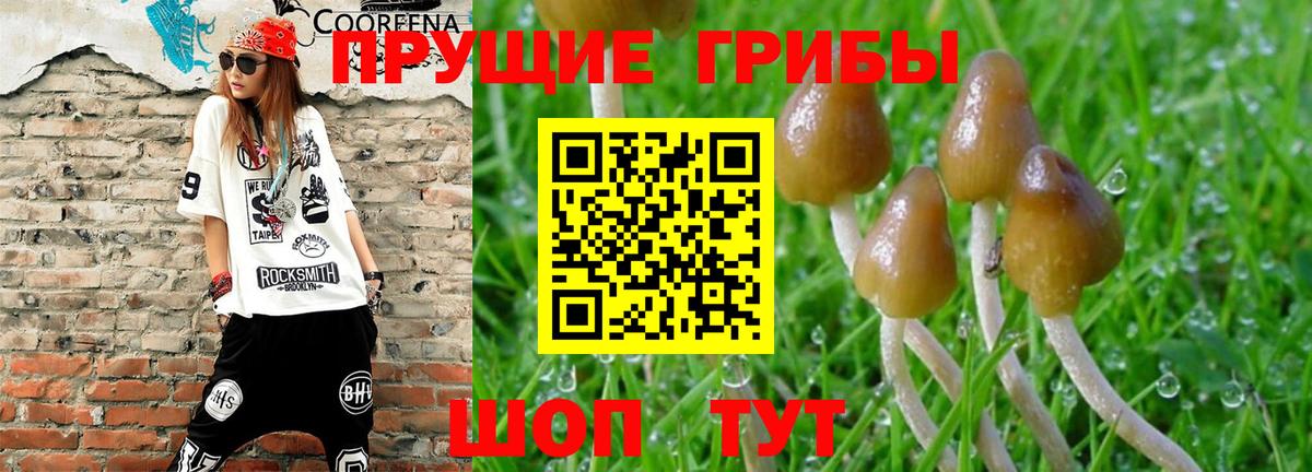 Галлюциногенные грибы GOLDEN TEACHER Кондопога